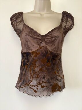 Thirty Thirty (Medium) Brown Lace//Sheer Blouse